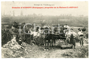 1929 BOURGOGNE Domaine d'AUBIGNY Maison CLARIN Vendangeurs - Carte Postale FP VG  Cartolina postale d'epoca, viaggiata.CONDIZIONI: FAIR (bruniture diffuse)FORMATO: FP    originale e autentica 1