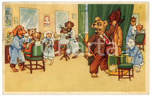 1915 ca HUMOUR - Dogs - The barbershop - Anthropomorphic postcard  Cartolina postale d'epoca, viaggiata.CONDIZIONI: GFORMATO: FP POOR/danneggiato francobollo quasi completamente asportato e lievi macchie al verso Formato: 9x14 cm originale e autentica 1