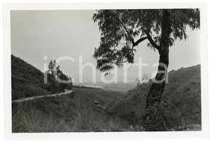 1949 BURUNDI Route dans les montagnes - USUMBURA - Photo J. MULDERS 18x12 cm  Fotografia d'epoca, che reca al verso la didascalia originale.FOTOGRAFO: J. Mulders - CongopresseCONDIZIONI: F (graffi superficiali)FORMATO: 18x12 cm     originale e autentica 1