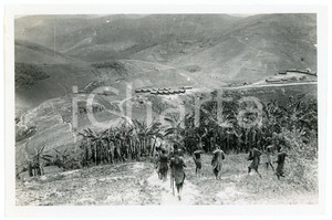 1918 RUANDA - KIGALI - Bananeraie et poste de KASHUNGA *Photo REPRINT 1950  Fotografia d'epoca, scattata nel 1918, ma ristampata nel 1950 circa, con didascalia originale dell'agenzia al verso.FOTOGRAFO: E. Gourdinne - CongopresseCONDIZIONI: F (lievi piegature al lato sinistro) FORMATO: 18x12 cm     originale e autentica 1