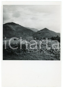 1946 RUANDA - RUHENGERI - Cultures près du lac BULERA - Photo LEBIED 12x18 cm  Fotografia d'epoca, che reca al verso la didascalia originale.FOTOGRAFO: Lebied - CongopresseCONDIZIONI: G FORMATO: 12x18 cm     originale e autentica 1
