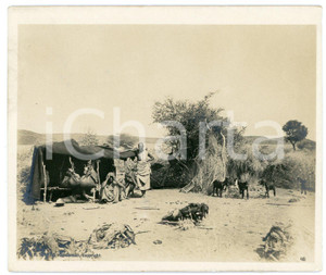 1910 ca Anglo-Egyptian SUDAN - Native people in a village  *Photo R. TÜRSTIG Fotografia seriale d'epoca.FOTOGRAFO: R. T&uuml;rstig - Omdurman GOOD/buono  Formato: 10x12 cm originale e autentica 1