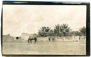 1920 ca ALGERIA - Veduta di un'oasi - Foto ANIMATA 14x9 cm (1)  Fotografia d'epoca. GOOD/buono margine sinistro rifilato Formato: 14x9 cm originale e autentica 1