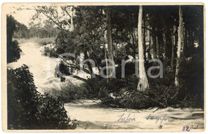 1930 ca CONGO BELGE - KATANGA Rivière LUFVIA - SOGEFOR *Photo L. GABRIEL 82 Fotografia originale d'epoca, in formato cartolina postale.FOTOGRAFO: L&eacute;opold Gabriel - Panda - Katanga   GOOD/buono  FORMATO: 14x9 cm originale e autentica 1
