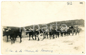 1930 ca CONGO BELGE KATANGA Char de la mission de KANSENIA *Photo L. GABRIEL 102 Fotografia originale d'epoca, in formato cartolina postale.FOTOGRAFO: L&eacute;opold Gabriel - Panda - Katanga  GOOD/buono  Formato: 14x9 cm originale e autentica 1