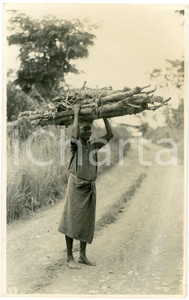 1930 ca CONGO BELGE - Femme transporte des branches - Photo L. GABRIEL n°59 Fotografia originale d'epoca, in formato cartolina postale.FOTOGRAFO: L&eacute;opold Gabriel - Panda - Katanga  GOOD/buono  Formato: 9x14 cm originale e autentica 1