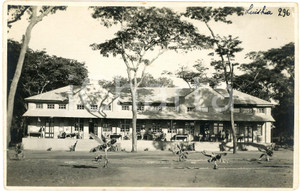 1930 ca CONGO BELGE - KATANGA - LUISHIA - Edifice colonial *Photo L. GABRIEL 296 Fotografia originale d'epoca, con timbro del fotografo al verso.FOTOGRAFO: L&eacute;opold Gabriel - Panda - Katanga  GOOD/buono  Formato: 14x9 cm originale e autentica 1