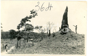 1930 ca CONGO BELGE KATANGA - Termitière *Photo L. GABRIEL 364 Fotografia originale d'epoca, in formato cartolina postale.FOTOGRAFO: L&eacute;opold Gabriel - Panda - Katanga   GOOD/buono  FORMATO: 14x9 cm originale e autentica 1