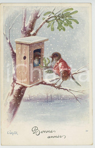 1920 ca BONNE ANNÉE Moineaux amoureux - Illustré par C. OHLER - Carte postale  Cartolina postale d'epoca, non viaggiata.CONDIZIONI: FAIRFORMATO: FP    originale e autentica 1