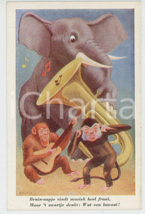 1910 ANIMALS Artist R. GORIS Elephant and monkeys playing instruments - Postcard  Cartolina postale d'epoca, non viaggiata.CONDIZIONI: FAIRFORMATO: FP    originale e autentica 1
