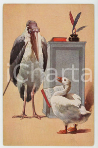 1920 ca ANIMALS Maribu and goose at school - ANTHROPOMORPHIC Postcard PELUBA 277  Cartolina postale d'epoca, non viaggiata.CONDIZIONI: FAIR (bruniture al verso)FORMATO: FP    originale e autentica 1