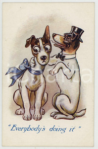 1920 ANIMALS Gossip between dogs Everybody's doing it ANTHROPOMORPHIC Postcard  Cartolina postale d'epoca, non viaggiata.CONDIZIONI: GOODFORMATO: FP    originale e autentica 1