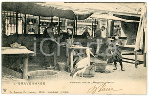 1906 DEN HAAG - 'S-GRAVENHAGE Vischmarkt met de Haagsche ooievar - Postcard FP  Cartolina d'epoca, viaggiata. FAIR/discreto Lievi smussature agli angoli Formato: FP originale e autentica 1