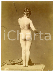 1900 ca VINTAGE EROTIC Nude woman from behind - Studio - DAMAGED Photo 10x14 cm Fotografia originale d'epoca, incollata su cartoncino.CONDIZIONI: VP (danneggiata da crepe superficiali)FORMATO: 10x14 cm    originale e autentica 1
