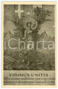 1915 ca WW1 LUCCA Federazione comitati rurali - Viribus unitis - Cartolina (1)  Cartolina d'epoca, non viaggiata. FAIR/discreto lievi smussature agli angoli Formato: FP originale e autentica 1