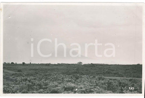 1930 C. ZAGOURSKI «Le Congo Illustré» KIVU - Volcan NYAMURAGIRA Postcard 1  Fotocartolina postale d'epoca, appartenente alla serie &laquo;Le Congo Illustr&eacute;&raquo; del fotografo Casimir Zagourski (L&eacute;opoldville).Non viaggiata.CONDIZIONI: GOODFORMATO: 14x9 cm    originale e autentica 1