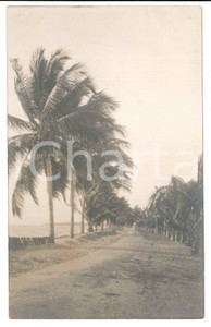 1930 C. ZAGOURSKI (?) AFRIQUE - CONGO BELGE - Paysage (2) Postcard  Fotocartolina postale d'epoca, attibuita al fotografo Casimir Zagourski.CONDIZIONI: GFORMATO: 9x14 cm    originale e autentica 1