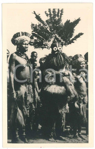 1930 ca C. ZAGOURSKI «L'Afrique qui disparaît» Danseurs Bakamputu - Postcard 32  Fotocartolina postale d'epoca, appartenente alla serie &laquo;L'Afrique qui dispara&icirc;t&raquo; del fotografo Casimir Zagourski (L&eacute;opoldville).N&deg;32, non viaggiata.Al verso timbro: "Henri Nicaise Photographe - Namur"CONDIZIONI: GFORMATO: 9x14 cm    originale e autentica 1