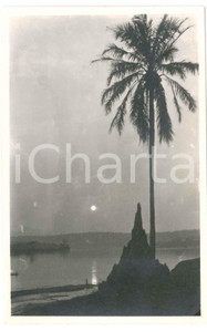 1930 C. ZAGOURSKI «L'Afrique qui disparaît» Paysage congolais - Postcard 213  Fotocartolina postale d'epoca, appartenente alla serie &laquo;L'Afrique qui dispara&icirc;t&raquo; del fotografo Casimir Zagourski (L&eacute;opoldville).N&deg;213, viaggiata.CONDIZIONI: POOR (bassa qualit&agrave; di stampa)FORMATO: 14x9 cm     originale e autentica 1