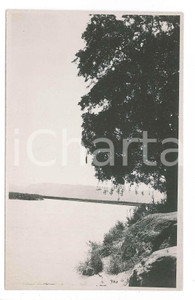 1930 ca C. ZAGOURSKI (?) AFRIQUE - CONGO BELGE - Paysage congolaise (9) Postcard  Fotocartolina postale d'epoca, attibuita al fotografo Casimir Zagourski.CONDIZIONI: GOODFORMATO: 9x14 cm    originale e autentica 1