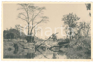 1930 ca C. ZAGOURSKI (?) AFRIQUE - CONGO BELGE - Paysage congolaise (2) Postcard  Fotocartolina postale d'epoca, attibuita al fotografo Casimir Zagourski.CONDIZIONI: GFORMATO: 9x14 cm    originale e autentica 1