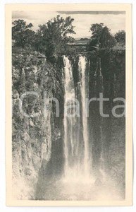 1930 C. ZAGOURSKI «L'Afrique qui disparaît» KENYA Chutes Thomson *Postcard n.173  Fotocartolina postale d'epoca, appartenente alla seconda serie &laquo;L'Afrique qui dispara&icirc;t&raquo; del fotografo Casimir Zagourski (L&eacute;opoldville).N&deg;173, non viaggiata.Al verso timbro: "Henri Nicaise Photographe - Namur"CONDIZIONI: G FORMATO: 14x9 cm    originale e autentica 1