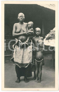 1930 C. ZAGOURSKI «L'Afrique qui disparaît» CONGO Bakuba, une femme ^Postcard 10  Fotocartolina postale d'epoca, appartenente alla serie &laquo;L'Afrique qui dispara&icirc;t&raquo; del fotografo Casimir Zagourski (L&eacute;opoldville).N&deg; 10, non viaggiata.Al verso timbro: "Henri Nicaise Photographe - Namur"CONDIZIONI: F (piegatura angolare e piccola macchia)FORMATO: 8x12 cm     originale e autentica 1