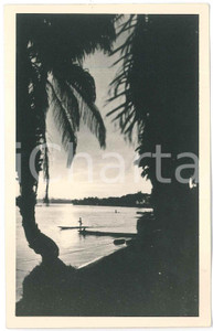 1930 ca C. ZAGOURSKI «L'Afrique qui disparaît» Paysage Congolais - Postcard 215  Fotocartolina postale d'epoca, appartenente alla serie «L'Afrique qui disparaît» del fotografo Casimir Zagourski (Léopoldville).N° 215, non viaggiata.Al verso timbro: "Henri Nicaise Photographe - Namur"   GOOD/buono minima sbrecciatura angolare FORMATO: 9x14 cm originale e autentica 1
