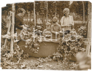 1925 ca UK - KENT - Mother and children in the hop fields - DAMAGED Photo 23x17 Fotografia originale d'epoca, con didascalia al verso. VERY POOR/gravemente danneggiato mancanze marginali evidenti, piegature e strappi Formato: 23x17 cm originale e autentica 1