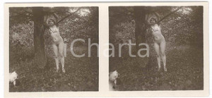 1920 ca VINTAGE EROTIC Le nu stéréo en plein air - Woman leaning on tree branch Fotografia stereoscopica d'epoca, appartenente alla collana "Le nu st&eacute;r&eacute;o en plein air".EDITORE: Editions St&eacute;reo Novelti Accademia - Paris  GOOD/buono  Formato: 13x6 cm originale e autentica 1