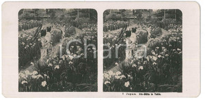 1910 ca JAPAN - Geishas - Iris-Blüte in Tokio - ETHNIC Stereoview n° 1  Fotografia stereoscopica d'epoca.EDITORE: NPG  GOOD/buono  Formato: 18x9 cm originale e autentica 1