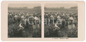 1910 ca JAPAN - Teernte in Japan - ETHNIC Stereoview n° 6  Fotografia stereoscopica d'epoca.EDITORE: NPG  GOOD/buono  Formato: 18x9 cm originale e autentica 1