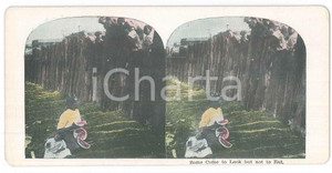 1900 ca USA AFRICAN AMERICANS - Watermelon - “Some Come to Look but not to Eat” Fotografia stereoscopica d'epoca, in cromolitografia, su cartoncino.  GOOD/buono  Formato: 18x9 cm originale e autentica 1