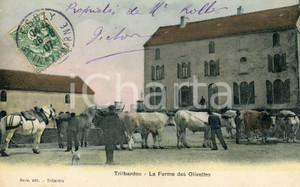 1907 TRILBARDOU (FRANCE) La ferme des olivettes - Carte postale FP VG  Cartolina postale d'epoca, viaggiata.CONDIZIONI: FAIR FORMATO: FP    originale e autentica 1
