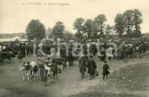 1900 ca FOUGÈRES (F) La foire de l'Angevine - Cartolina ANIMATA FP NV  Cartolina postale d'epoca, non viaggiata.CONDIZIONI:FFORMATO: FP    originale e autentica 1