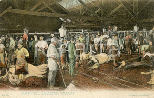 1911 URUGUAY Playa del Saladero - Vintage postcard FP VG  Cartolina postale d'epoca, viaggiata.CONDIZIONI: G FORMATO: FP    originale e autentica 1