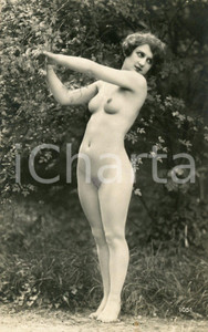 1910 ca VINTAGE EROTIC Nude woman posing in a garden - Postcard risque  Fotografia seriale d'epoca in formato cartolina postale.CONDIZIONI: G FORMATO: FP    originale e autentica 1