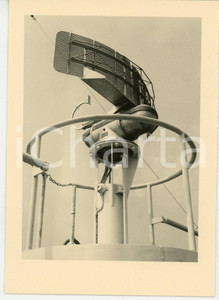 1930 ca COMPAGNIE MARITIME BELGE - M.V. Albertville - Le rada - Postcard  Cartolina postale d'epoca, non viaggiata. GOOD/buono  Formato: FG originale e autentica 1