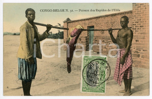 1911 CONGO BELGE Poisson des Rapides de l'Elila - Vintage Postcard FP VG  Cartolina postale d'epoca, viaggiata.CONDIZIONI: FAIRFORMATO: FP    originale e autentica 1
