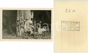 1930 ca C. ZAGOURSKI «L'Afrique qui disparaît»  Tombe d'une femme *Postcard 57  Fotocartolina postale d'epoca, appartenente alla 2^ serie &laquo;L'Afrique qui dispara&icirc;t&raquo; del fotografo Casimir Zagourski (L&eacute;opoldville).N&deg; 57, non viaggiata.Al verso timbro: "Henry Nicaise Photographe - Namur"CONDIZIONI: GFORMATO: 14x9 cm     originale e autentica 1