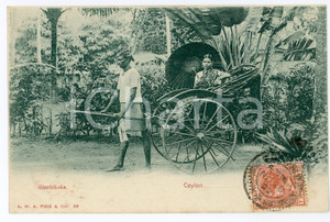1903 CEYLON - SRI LANKA Ginricksha - Vintage Postcard FP VG Cartolina postale d'epoca, viaggiata. CONDIZIONI: FAIRFORMATO: FP    originale e autentica 1