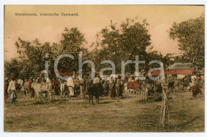 1910 ca WONOKROMO (DUTCH EAST INDIES) Cattle market - DAMAGED Postcard FP NV Cartolina postale d'epoca, non viaggiata.CONDIZIONI: POOR (carta lenta con distacco parziale degli strati di carta)FORMATO: FP    originale e autentica 1