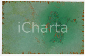 1900 ca ART NOUVEAU Lady with ivy - RARE ILLUSTRATED embossed postcard green  Pregevole cartolina postale d'epoca, illustrata, a rilievo, non viaggiata.CONDIZIONI: GFORMATO: FP    originale e autentica 1