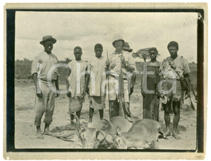 1930 ca CONGO BELGE Belgian hunter with dead antelopes - Photo 12x9 cm Fotografia d'epoca. FAIR/discreto Lievi smussature agli angoli e sbrecciature, margine destro rifilato a mano Formato: 12x9 originale e autentica 1