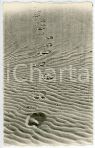 1930 ca TAMANRASSET (ALGERIE) La langage du sable - Carte postale FP NV  Cartolina postale d'epoca, non viaggiata.Realizata da Coop&eacute;rative Scolaire de TamanrassetCONDIZIONI: FAIRFORMATO: FP    originale e autentica 1