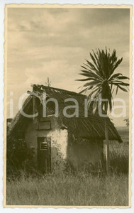 1954 BUNIA (CONGO BELGE) Cabane indigène - Carte postale FP VG  Cartolina postale d'epoca, viaggiata.Con timbro al verso: "O. Hutsebaut - PhotographeBP 145 Bunia"CONDIZIONI: FAIRFORMATO: FP    originale e autentica 1