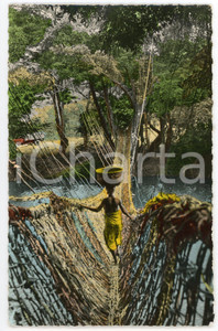 1960 ca AFRIQUE EN COULEURS Pont de lianes PONT DE SINGES - Carte postale FP NV  Cartolina postale d'epoca, non viaggiata.EDITORE: Editions Hoa-Qui, ParisSERIE: L'Afrique en couleurs - n. 1352CONDIZIONI: FAIR FORMATO: FP    originale e autentica 1