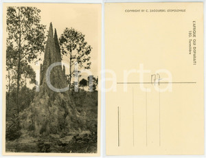 1930 ca C. ZAGOURSKI «L'Afrique qui disparaît» Termitière - Postcard n.180  Fotocartolina postale d'epoca, appartenente alla serie &laquo;L'Afrique qui dispara&icirc;t&raquo; del fotografo Casimir Zagourski (L&eacute;opoldville).N&deg; 180, non viaggiata.CONDIZIONI: G FORMATO: 9x14 cm    originale e autentica 1