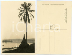 Cartolina originale da collezione 1930 ca C. ZAGOURSKI Â«L Afrique qui disparaÃ®tÂ» Paysage Congolais  Postcard 211 1