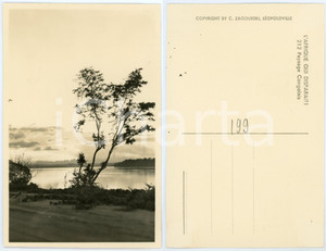 1930 ca C. ZAGOURSKI «L'Afrique qui disparaît» Paysage Congolais - Postcard 212  Fotocartolina postale d'epoca, appartenente alla serie &laquo;L'Afrique qui dispara&icirc;t&raquo; del fotografo Casimir Zagourski (L&eacute;opoldville).N&deg; 212, non viaggiata.CONDIZIONI: GFORMATO: 9x14 cm    originale e autentica 1